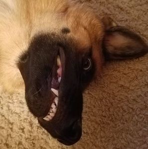 Meet your Posher, Laurie